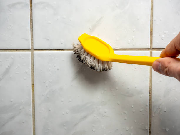 Best Black Mold Removal  in Stevensville, MD
