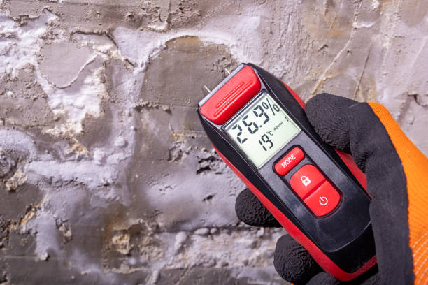 Best Crawl Space Mold Removal  in Stevensville, MD