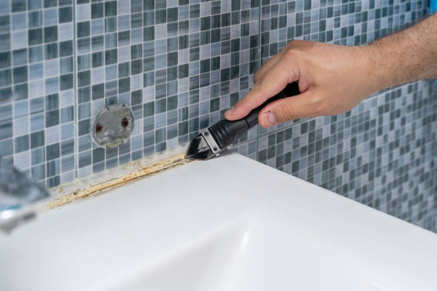 Best Professional Mold Removal  in Stevensville, MD